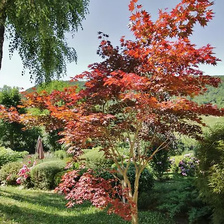 Le Ortensie Bed & Breakfast
